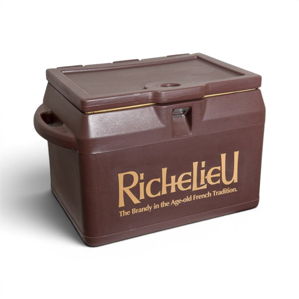 Cooler Box (Mini)