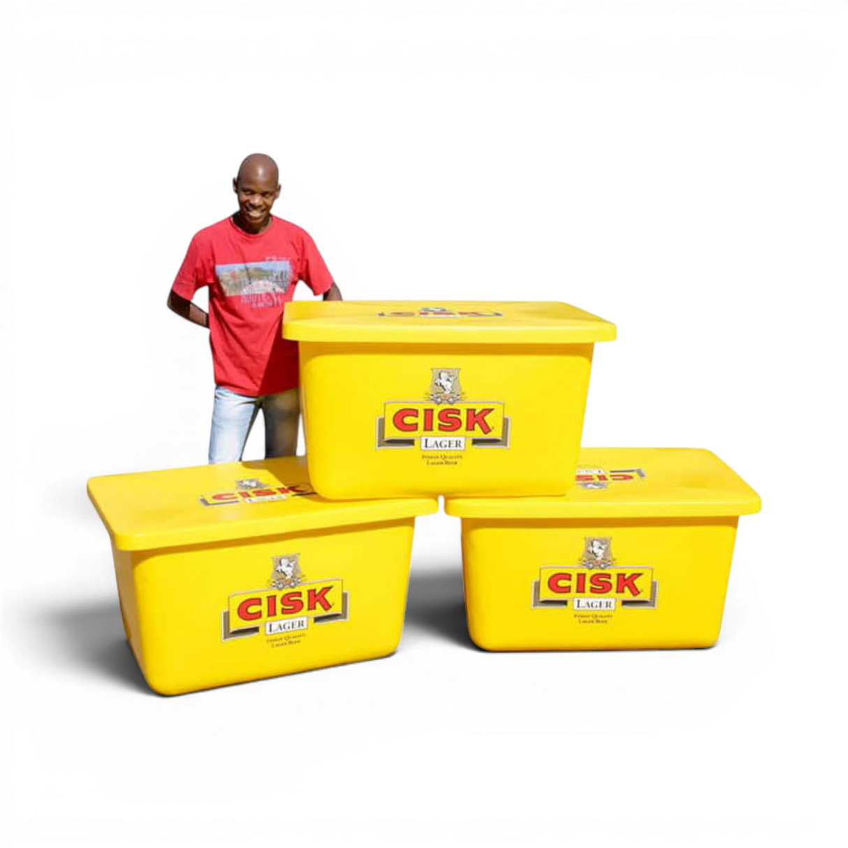 Multi-Bin Trolley